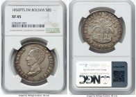 Republic 8 Soles 1850 PTS-FM XF45 NGC, Potosi mint, KM109. Yellow-harvest toning accents the deep gunmetal hues found around the legends and motifs. H...