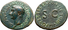 Roman Empire Drusus (son of Tiberius AD 22-23 Æ As About Good Very Fine; a striking portrait of Drusus
