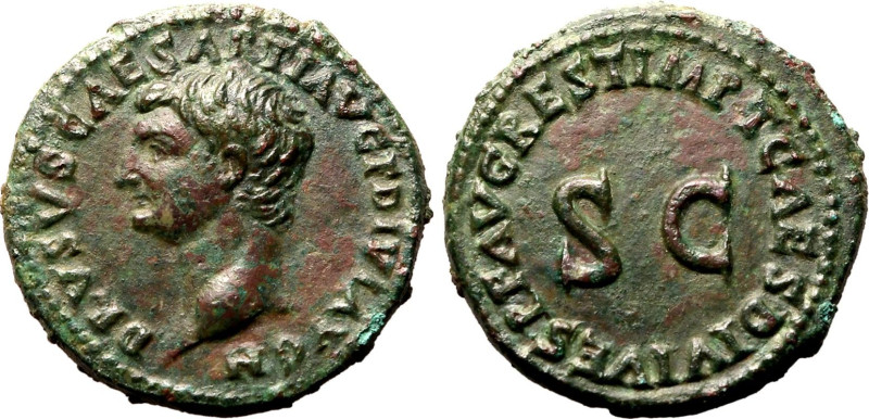 Roman Empire Drusus (son of Tiberius AD 80-81 Æ As Good Very Fine; a striking po...