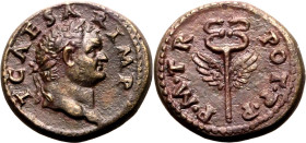 Roman Empire Titus (Caesar) AD 74 Æ Quadrans Extremely Fine; among the finest known examples of this rare type