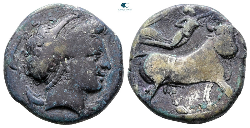 Campania. Neapolis circa 320-300 BC. 
Nomos AR

20 mm, 6,90 g



Nearly V...