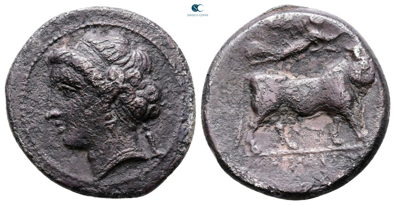 Campania. Neapolis circa 275-250 BC. 
Nomos AR

22 mm, 6,78 g



Very Fin...