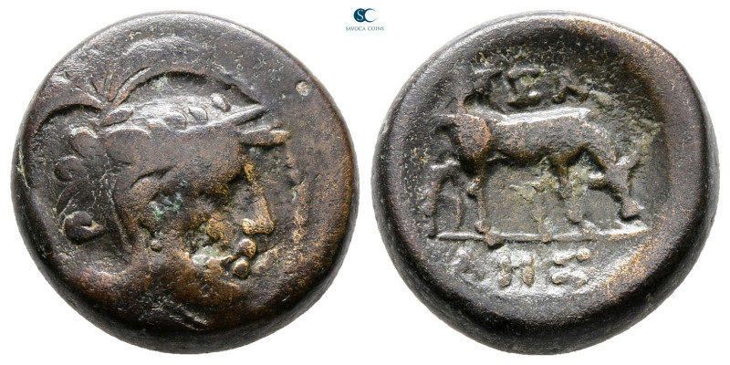 Macedon. Pella circa 187-31 BC. 
Bronze Æ

18 mm, 7,97 g



Nearly Very F...