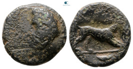 Akarnania. Argos Amphilochicon circa 330-300 BC. Bronze Æ