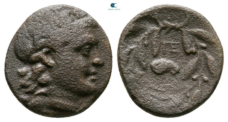 Achaia. Pellene circa 325-300 BC. 
Bronze Æ

15 mm, 2,06 g



Very Fine