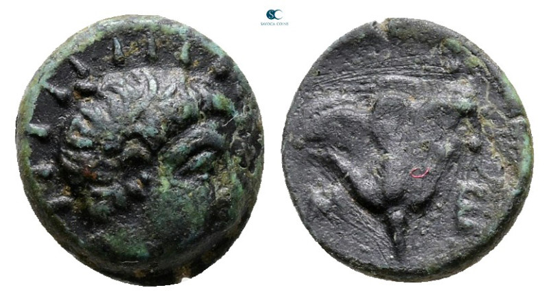 Mysia. Lampsakos circa 380-333 BC. Memnon of Rhodes
Bronze Æ

10 mm, 0,95 g
...