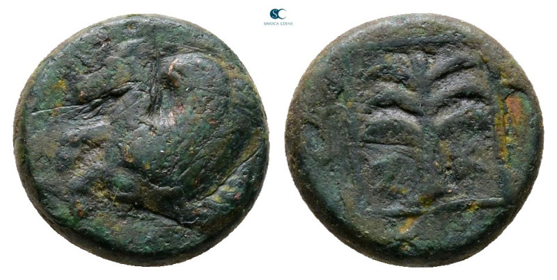 Troas. Skepsis circa 400-310 BC. 
Bronze Æ

10 mm, 1,37 g



Fine