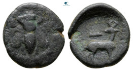 Ionia. Ephesos circa 250-200 BC. Bronze Æ