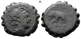 Seleukid Kingdom. Antioch on the Orontes. Antiochos VI Dionysos 144-142 BC. Serrate Æ