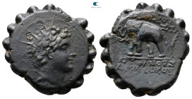 Seleukid Kingdom. Antioch on the Orontes. Antiochos VI Dionysos 144-142 BC. Serrate Æ