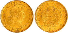 Argentinien
Republik, seit 1881
5 Pesos 1896, Liberty. 8,06 g. 900/1000. Besseres Jahr. vorzüglich/Stempelglanz. Yeoman 31.