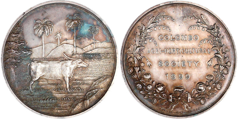 Ceylon
Britische Kolonie, 1796-1972
Silbermedaille der Colombo Agri-Horticultu...