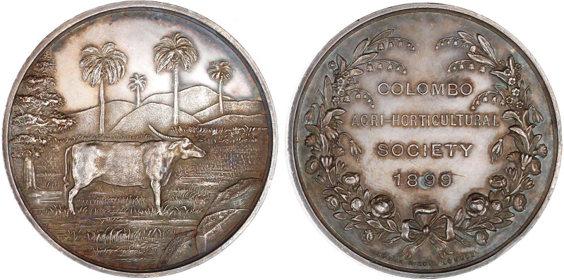 Ceylon
Britische Kolonie, 1796-1972
Silbermedaille der Colombo Agri-Horticultu...