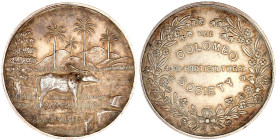 Ceylon
Britische Kolonie, 1796-1972
Silbermedaille der Colombo Agri-Horticultural Society o.J. (um 1900, unsign). Wasserbüffel im Reisfeld vor Palme...