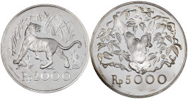 Indonesien
Republik, seit 1950
2 Silbermünzen: 2000 und 5000 Rupien 1974. Java Tiger und Orang-Utan. Polierte Platte. Krause/Mishler 39 und 40a.