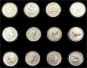 Australien
Lots
Lunar Serie I.: 12 Silbermünzen zu je 1 Dollar (je 1 Unze) von 1999 bis 2010 komplett. In Schatulle. Stempelglanz