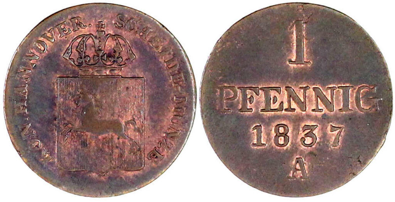 Braunschweig-Calenberg-Hannover
Wilhelm IV., 1830-1837
Pfennig 1837 A. vorzügl...