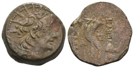 Seleucid Kingdom. Alexander II. Zabinas. (128-122 BC). Bronze Æ. Antioch. Weight 8,46 gr - Diameter 18 mm