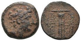 Seleucid Kingdom. Antiochos VIII. Grypos. (109-96 BC). Bronze Æ. Antioch. artificial sandpatina. Weight 5,67 gr - Diameter 16 mm