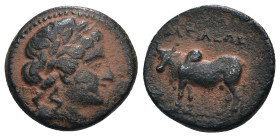 Seleucid Kingdom. Seleukos I. Nikator. (300-286 BC). Bronze Æ. Antioch. artificial sandpatina. Weight 3,39 gr - Diameter 13 mm