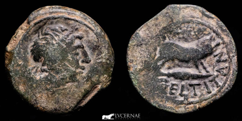 Roman Hispania - Celtitan (Peñaflor, Seville) - Bronze as (28.36 g. 32 mm.). Min...