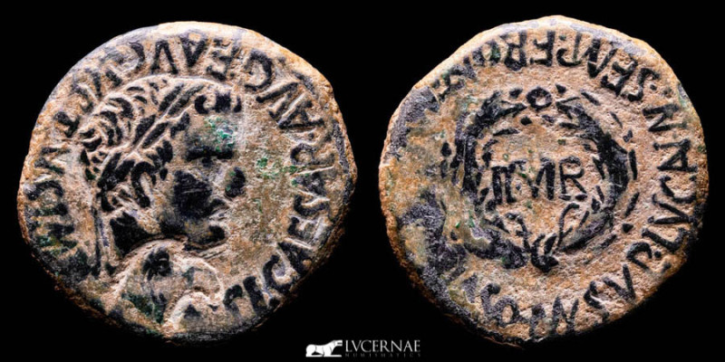 Roman Hispania - Turiaso. Tiberius period. (14 -37 AD.) Tarazona (Zaragoza). Bro...