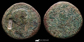 Antonia bronze Dupondius 11,70 g., 28 mm. Rome 42 A.D fine