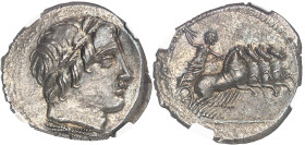 RÉPUBLIQUE ROMAINE - ROMAN REPUBLIC
M. Vergilius, C. Gargonius et Ogulnius. Denier ND (86 av. J.-C.), Rome.
Av. Tête d’Apollon à droite, lauré, avec u...