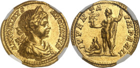 EMPIRE ROMAIN - ROMAN
Caracalla (198-217). Aureus 199-200, Rome.
Av. ANTONINVS - AVGVSTVS. Buste lauré, drapé et cuirassé, à droite. 
Rv. IVVENTA IMPE...