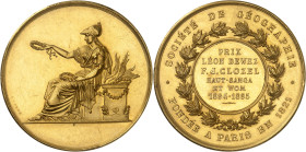 CONGO
IIIe République (1870-1940). Médaille d’Or, Prix de la Société de géographie pour les Campagnes d’exploration de Haute-Sangha et bassin du Wôm d...
