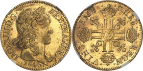 FRANCE / CAPÉTIENS - FRANCE / ROYAL
Louis XIII (1610-1643). Louis d’or à la mèche longue 1640, A, Paris.
Av. LVD. XIII. D. G. - FR. ET. NAV. REX. Tête...