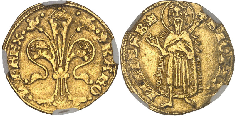 HONGRIE - HUNGARY
Charles Ier Robert (1308-1342). Florin ND (1325-1342).
Av. +...