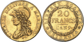 ITALIE - ITALY
Gaule subalpine (1800-1802). 20 francs Marengo An 9 (1801), Turin.
Av. L'ITALIE DÉLIVRÉE À MARENCO. Buste drapé à gauche de la Républ...