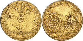 ITALIE - ITALY
Vatican, Pie VI (1775-1799). 2 doppie aux écus ovales 1787 - An XIII, Bologne.
Av. PIVS. VI. PONT. MAX. A. (date). Un lis fleuri ; à ...