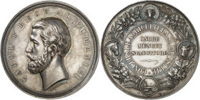 ROUMANIE - ROMANIA
Charles Ier de Roumanie (1866-1914). Médaille, Concours agricole et industriel ND (c.1881), Bucarest.
Av. CAROL I REGE AL ROMANIE...