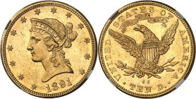 USA - UNITED STATES OF AMERICA
République fédérale des États-Unis d’Amérique (1776-à nos jours). 10 dollars Liberty, avec devise 1891, CC, Carson Cit...