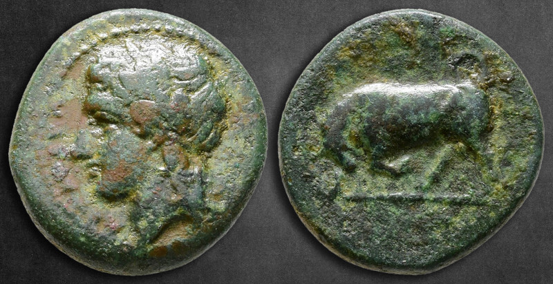 Sicily. Tauromenion circa 344-336 BC. 
Bronze Æ

18 mm, 4,49 g

ΑΡΧΑΓΕΤΑ, l...