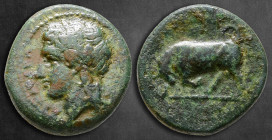 Sicily. Tauromenion circa 344-336 BC. Bronze Æ