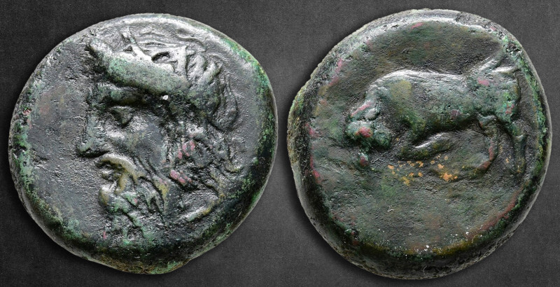 Sicily. Tauromenion circa 275-216 BC. 
Bronze Æ

19 mm, 16,81 g

Head of Po...