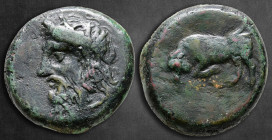 Sicily. Tauromenion circa 275-216 BC. Bronze Æ