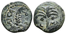Judaea. Procurators. Marcus Ambibulus Æ Prutah. Dated CY 39 = 8/9 CE. KAICAPOC, grain ear / Palm tree. 2,14 g - 16,51 mm