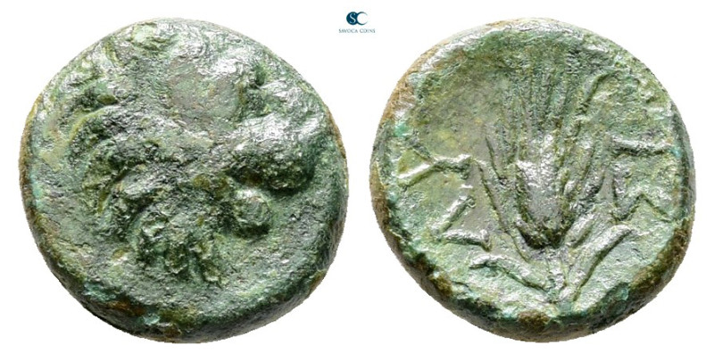 Thrace. Lysimacheia circa 309-220 BC. 
Bronze Æ

9 mm, 1,08 g



Nearly V...