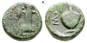 Thrace. Sestos circa 300 BC. Bronze Æ