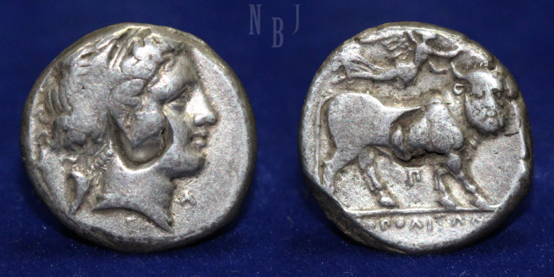 CAMPANIA: Neapolis. Circa 320-300 BC. AR Nomos. Head of female right, hair in ba...