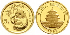 CHINA und Südostasien, China, Volksrepublik, seit 1949
5 Yuan GOLD 1995. Rs. Hüftbild eines Pandas mit Bambuszweig. 1/20 Unze Feingold. Small Date, i...