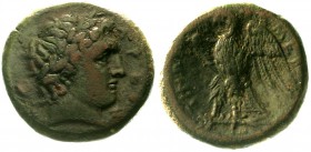 Altgriechische Münzen, Sizilien, Mamertini
Bronzemünze 30 mm 288/270 v.Chr. Areskopf r./Adler l.
fast sehr schön