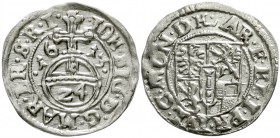 Altdeutsche Münzen und Medaillen, Brandenburg/Preußen, Johann Sigismund, 1608-1619
1/24 Taler (Dreipölker) 1613 HL, Driesen.
vorzüglich, kl. Zainend...