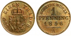 Altdeutsche Münzen und Medaillen, Brandenburg/Preußen, Friedrich Wilhelm IV., 1840-1861
1 Pfennig 1856 A. fast Stempelglanz
