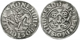 Altdeutsche Münzen und Medaillen, Mecklenburg-Rostock, Stadt
Doppelschilling 1605. sehr schön