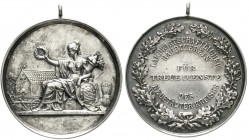 Altdeutsche Münzen und Medaillen, Schlesien-Neustadt in Oberschlesien, Stadt
Tragb. Silber-Prämienmedaille "Für treue Dienste" o.J., unsign. d. landw...